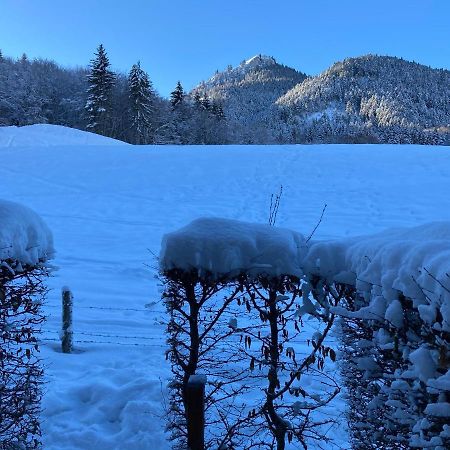 Appartement 2 Pieces Pieds Des Pistes Terrasse Face A La Montagne Bernex Εξωτερικό φωτογραφία