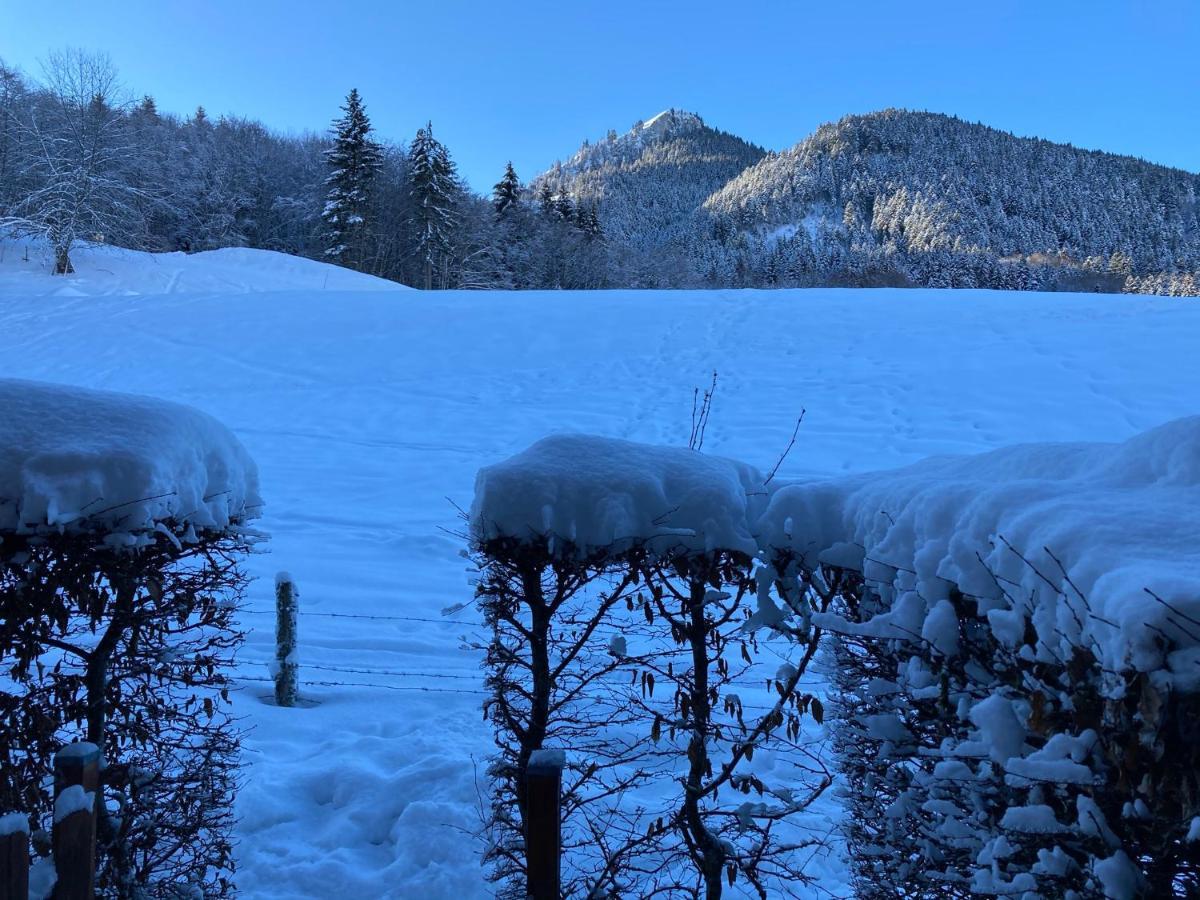 Appartement 2 Pieces Pieds Des Pistes Terrasse Face A La Montagne Bernex Εξωτερικό φωτογραφία