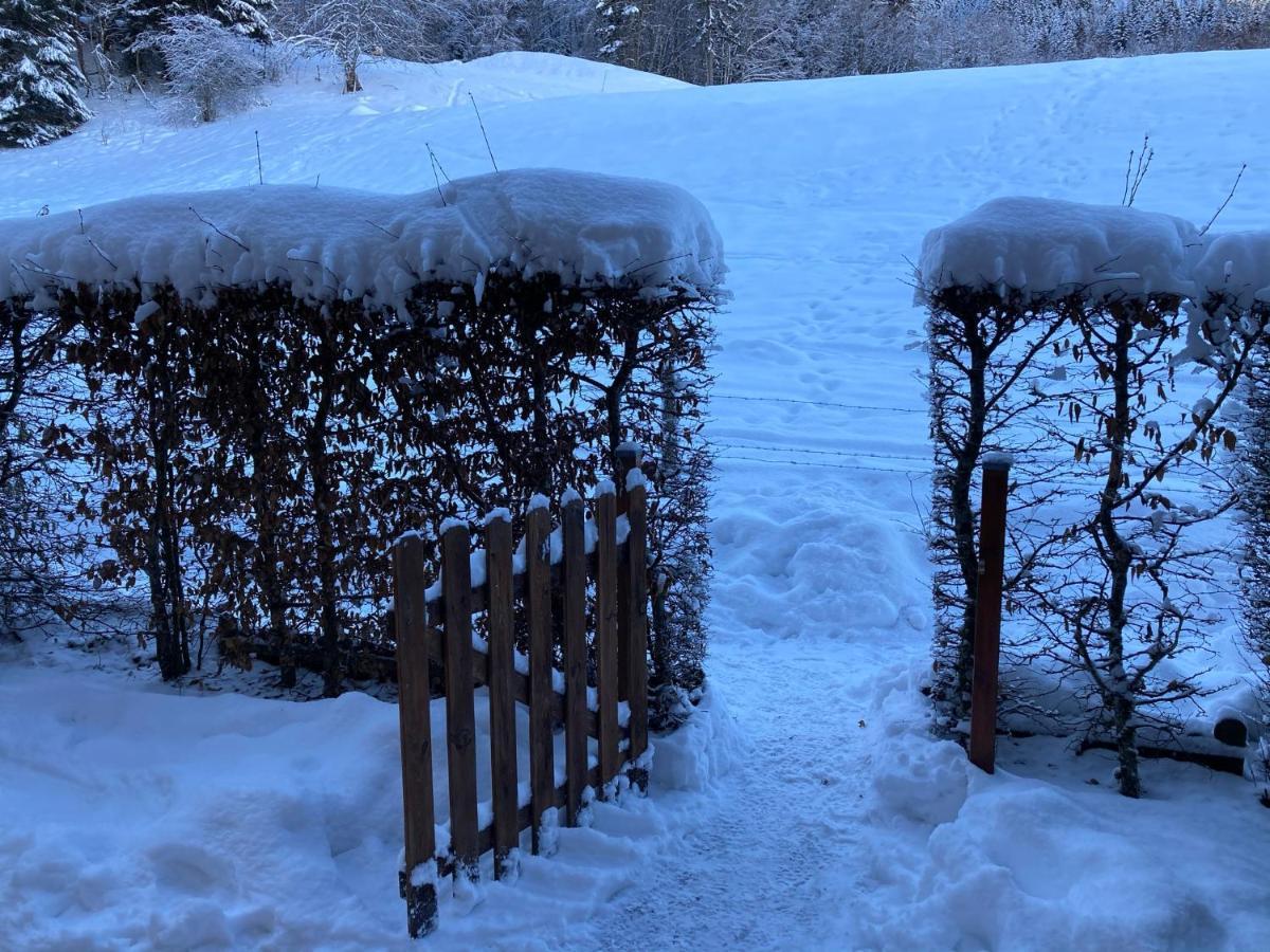 Appartement 2 Pieces Pieds Des Pistes Terrasse Face A La Montagne Bernex Εξωτερικό φωτογραφία